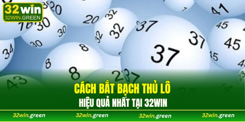 3 phương pháp bắt bạch thủ hữu hiệu từ chuyên gia