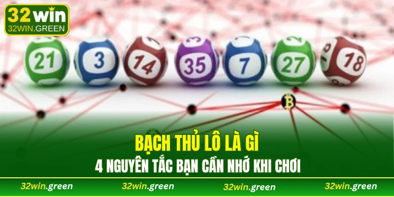 bạch thủ lô là gì