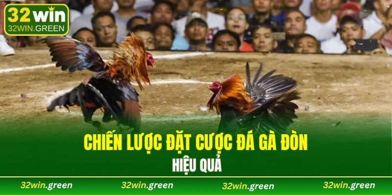 Chiến lược đặt cược đá gà đòn hiệu quả
