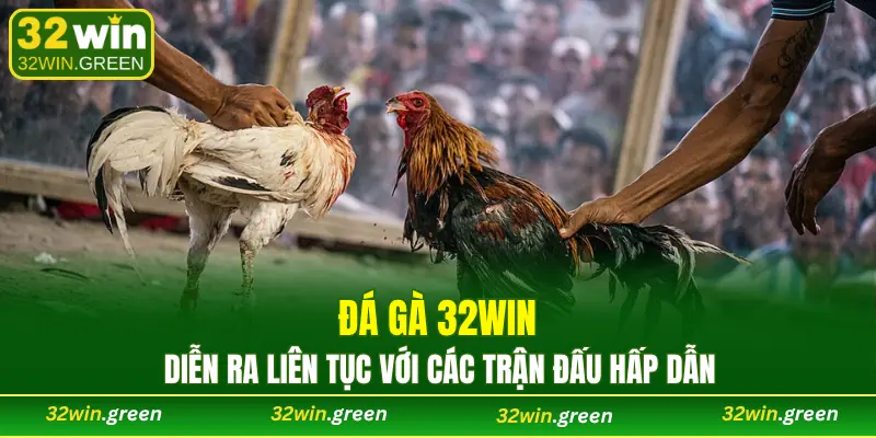 Đá gà 32WIN diễn ra liên tục với các trận đấu hấp dẫn