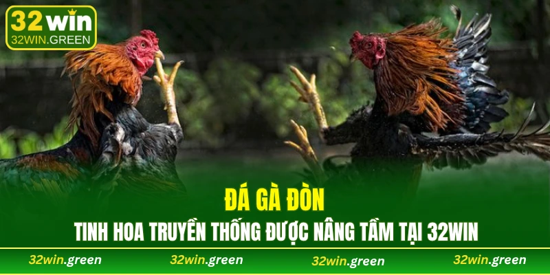 đá gà đòn