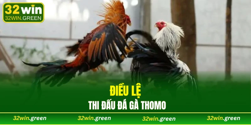 Điều lệ thi đấu đá gà Thomo
