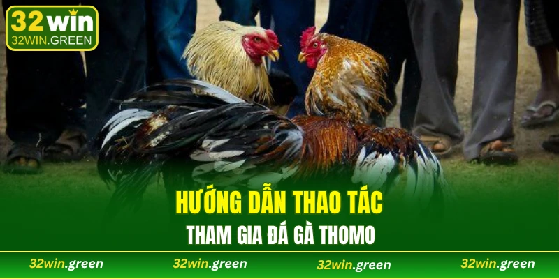 Hướng dẫn thao tác tham gia đá gà Thomo