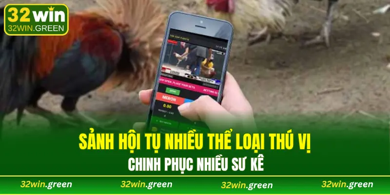 Sảnh hội tụ nhiều thể loại thú vị, chinh phục nhiều sư kê