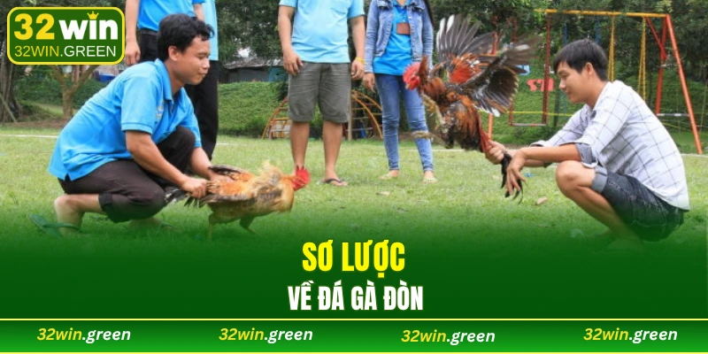 Sơ lược về đá gà đòn