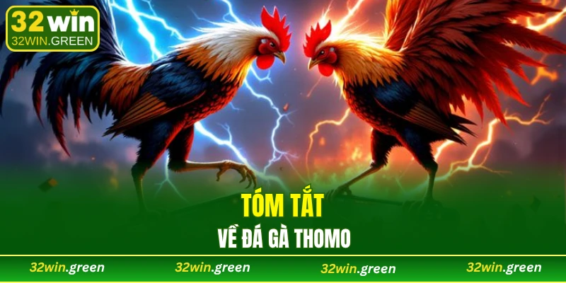 Tóm tắt về đá gà Thomo