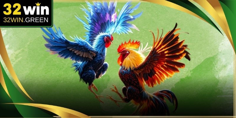 Đấu trường chuyên nghiệp phát sóng trực tiếp các trận tranh tài đỉnh cao