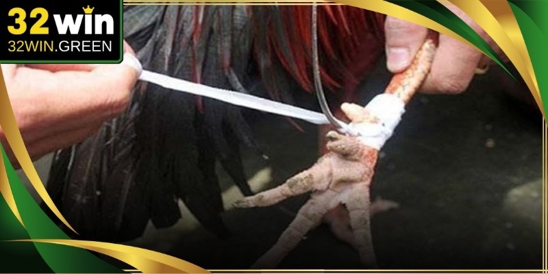 Đá Gà Cựa Sắt