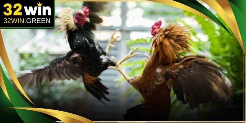 32Win mang đến nhiều không gian đầu tư phong phú phù hợp mọi phân khúc